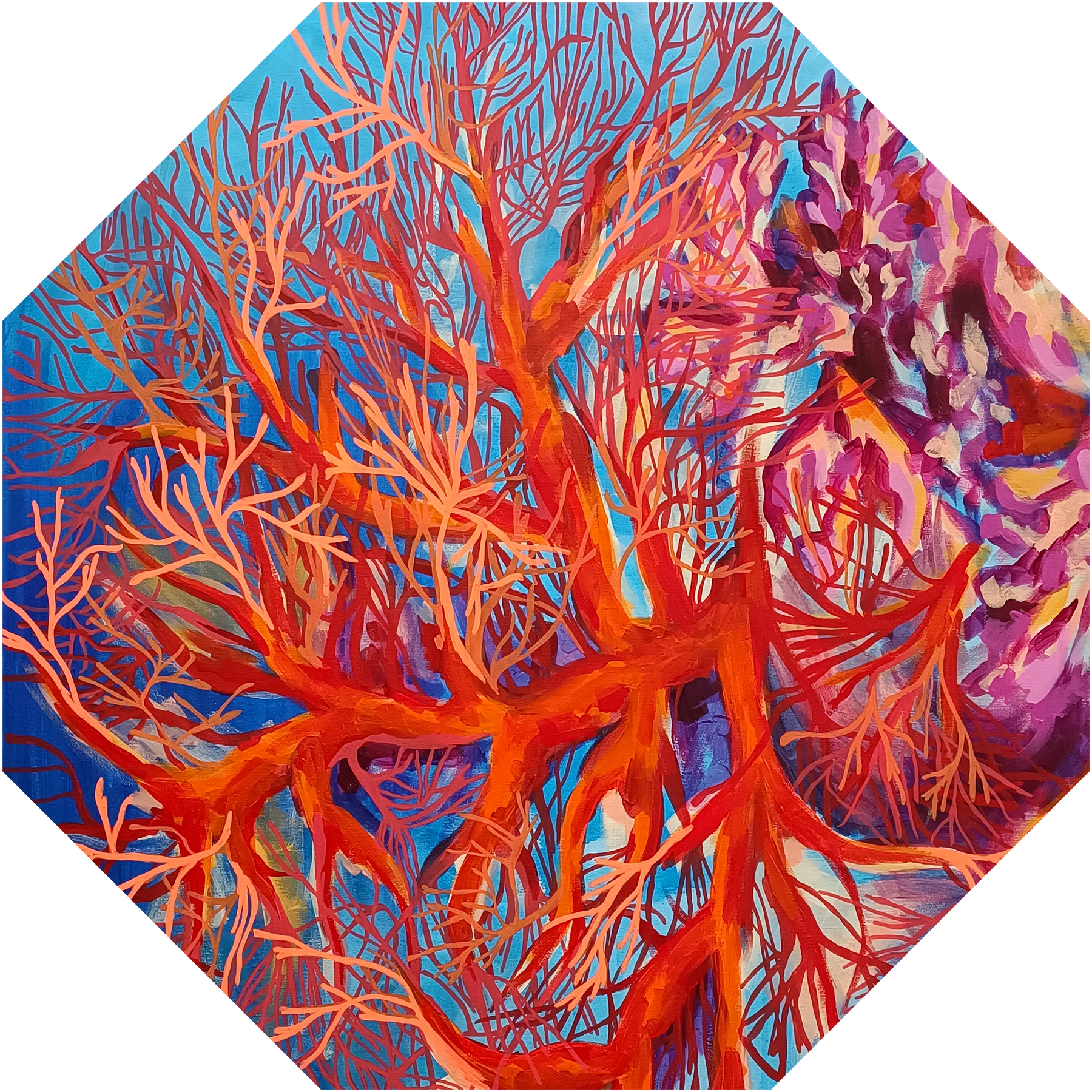 Umbrella - Underwater tree of life