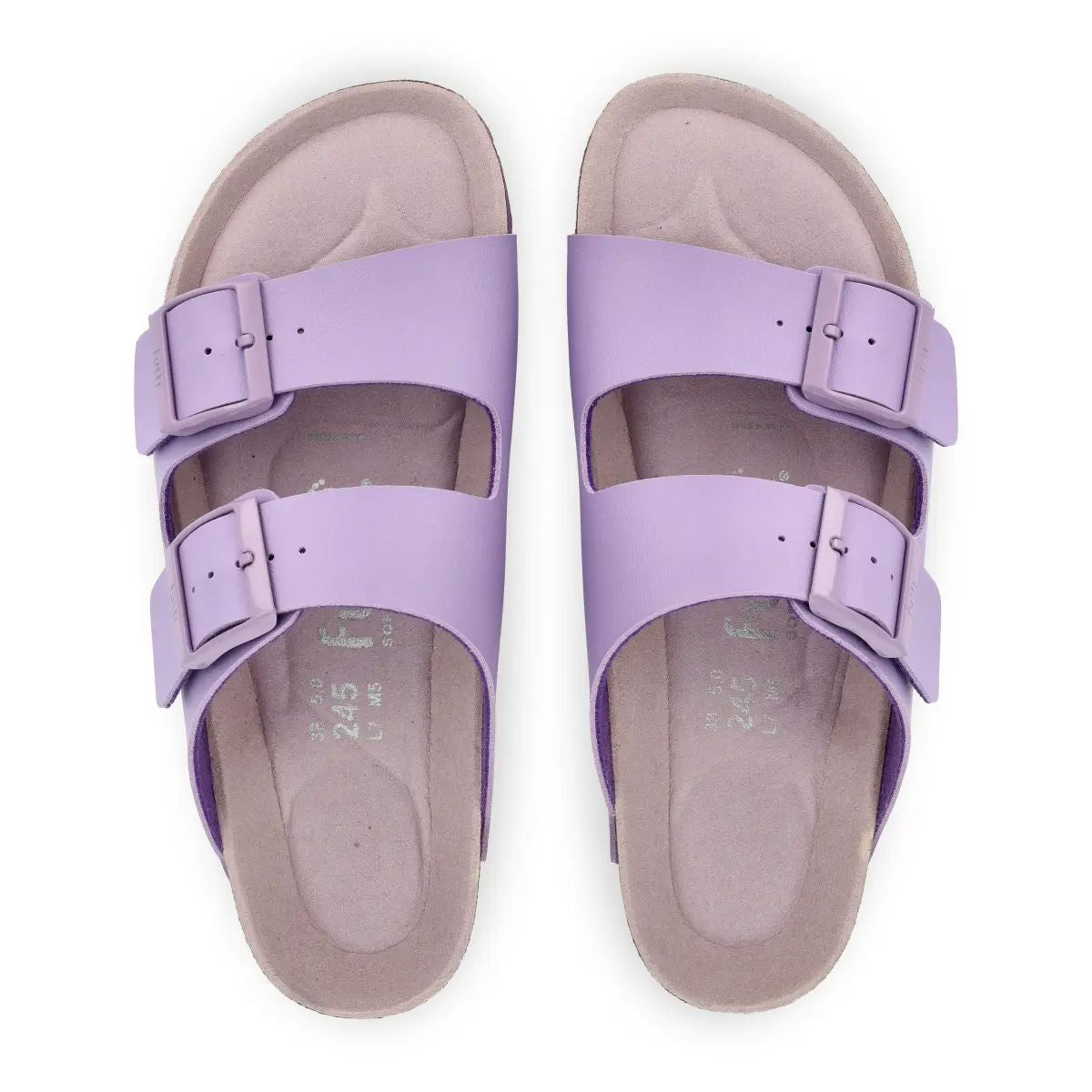 Glen Total Purple