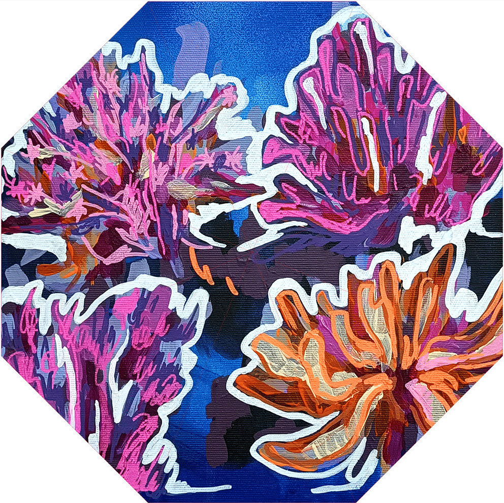 Umbrella - Corals and algae