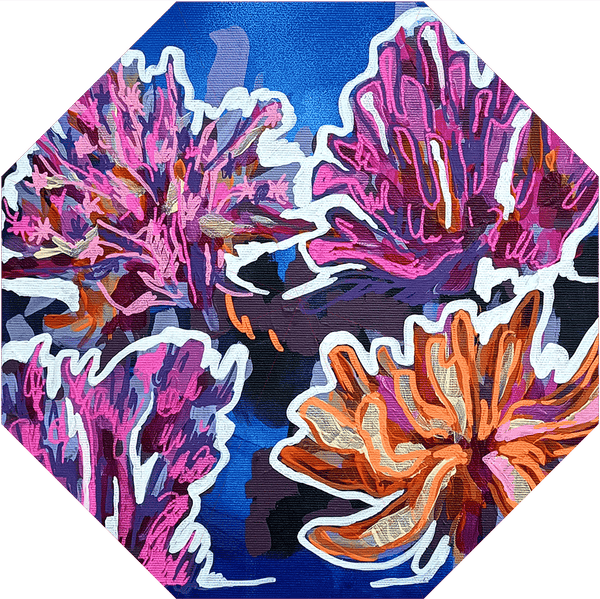 Umbrella - Corals and algae