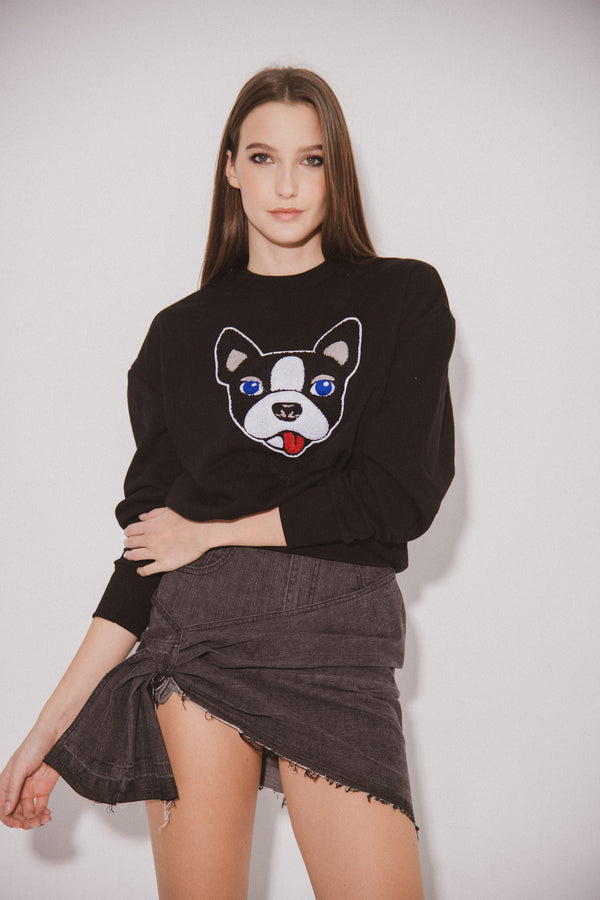 Sweater BOSTONAC C