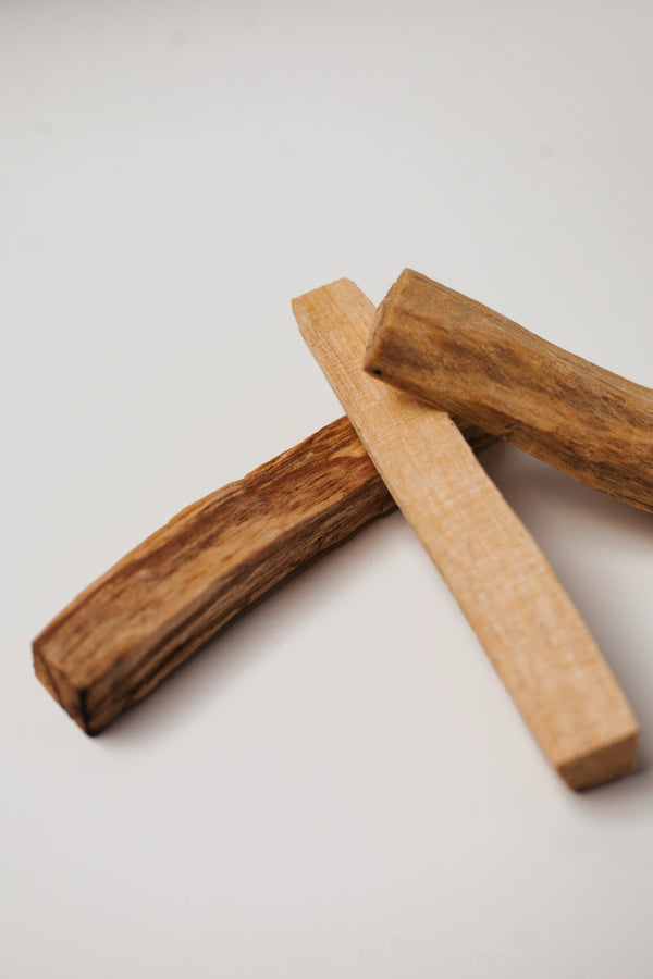 Palo Santo (Bursera graveolens): NOVI PROIZVOD!