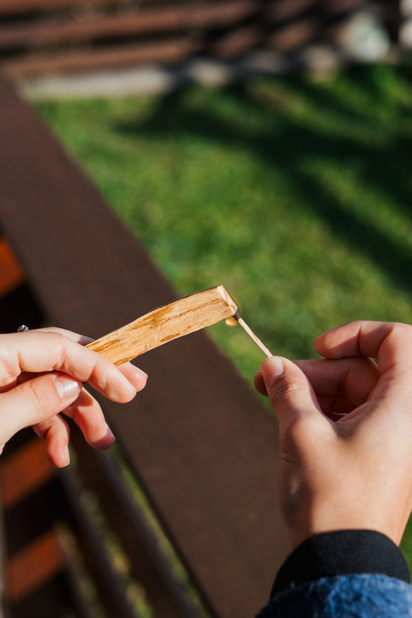 Palo Santo (Bursera graveolens): NOVI PROIZVOD!